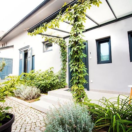 Apartmani Sterija Novi Sad Bagian luar foto